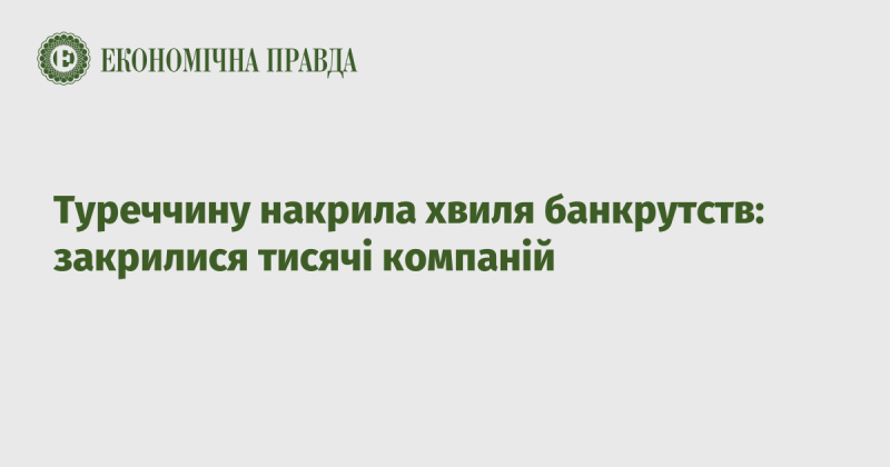 Туреччину охопила хвиля банкрутств: тисячі підприємств припинили свою діяльність.