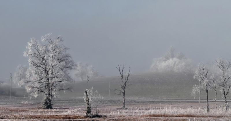 В Україні вже прогнозують перші заморозки: метеоролог розповіла, коли слід очікувати це явище.