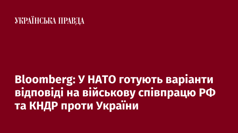 Bloomberg: НАТО розробляє різні стратегії реагування на військову співпрацю між Росією та Північною Кореєю у контексті ситуації в Україні.