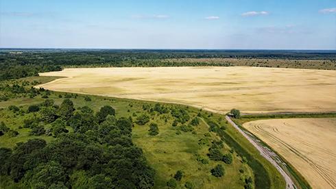 Ціна зросла в десять разів: Земельний банк організував нові торги на суборенду державних земель для сільського господарства.